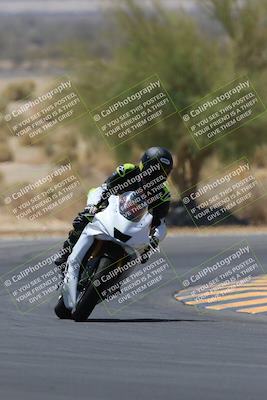 media/May-14-2023-SoCal Trackdays (Sun) [[024eb53b40]]/Turn 5 Tree of Life (1125am)/